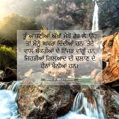 Picture 07 - ਸੁਲੇਮਾਨ ਦਾ ਗੀਤ 6:5 PANIRV - ਤੂੰ ਆਪਣੀਆਂ ਅੱਖਾਂ - Bible Verse Picture