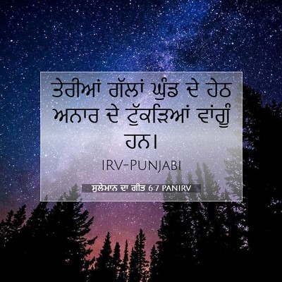 Picture 07 - ਸੁਲੇਮਾਨ ਦਾ ਗੀਤ 6:7 PANIRV - ਤੇਰੀਆਂ ਗੱਲਾਂ ਘੁੰਡ - Bible Verse Picture