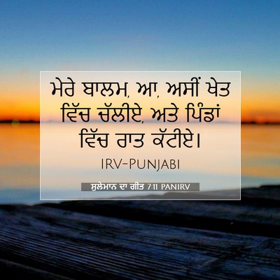 Picture 07 - ਸੁਲੇਮਾਨ ਦਾ ਗੀਤ 7:11 PANIRV - ਮੇਰੇ ਬਾਲਮ, ਆ, ਅਸੀਂ - Bible Verse Picture