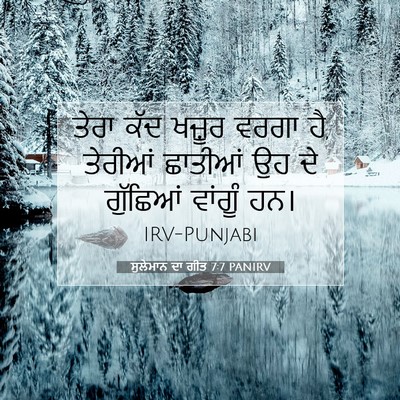 Picture 07 - ਸੁਲੇਮਾਨ ਦਾ ਗੀਤ 7:7 PANIRV - ਤੇਰਾ ਕੱਦ ਖਜ਼ੂਰ - Bible Verse Picture