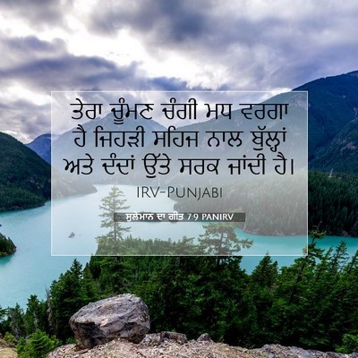 Picture 07 - ਸੁਲੇਮਾਨ ਦਾ ਗੀਤ 7:9 PANIRV - ਤੇਰਾ ਚੂੰਮਣ ਚੰਗੀ ਮਧ - Bible Verse Picture