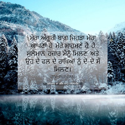 Picture 07 - ਸੁਲੇਮਾਨ ਦਾ ਗੀਤ 8:12 PANIRV - ਮੇਰਾ ਅੰਗੂਰੀ ਬਾਗ਼ - Bible Verse Picture