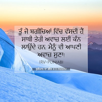 Picture 07 - ਸੁਲੇਮਾਨ ਦਾ ਗੀਤ 8:13 PANIRV - ਤੂੰ ਜੋ ਬਗੀਚਿਆਂ - Bible Verse Picture