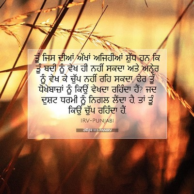 Picture 07 - ਹਬੱਕੂਕ 1:13 PANIRV - ਤੂੰ ਜਿਸ ਦੀਆਂ ਅੱਖਾਂ - Bible Verse Picture