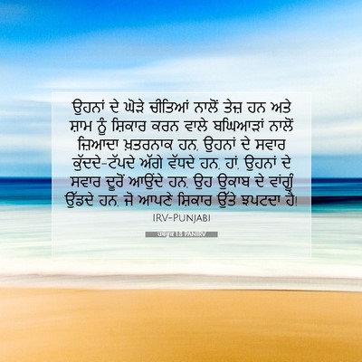 Picture 07 - ਹਬੱਕੂਕ 1:8 PANIRV - ਉਹਨਾਂ ਦੇ ਘੋੜੇ - Bible Verse Picture