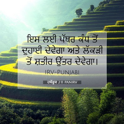 Picture 07 - ਹਬੱਕੂਕ 2:11 PANIRV - ਇਸ ਲਈ ਪੱਥਰ ਕੰਧ ਤੋਂ - Bible Verse Picture