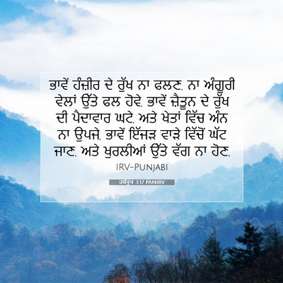 Picture 07 - ਹਬੱਕੂਕ 3:17 PANIRV - ਭਾਵੇਂ ਹੰਜ਼ੀਰ ਦੇ - Bible Verse Picture