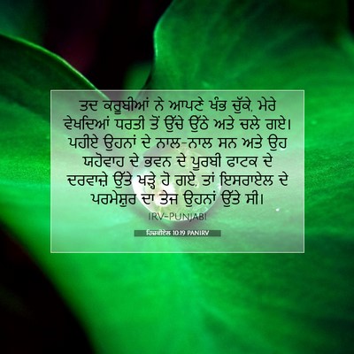 Picture 07 - ਹਿਜ਼ਕੀਏਲ 10:19 PANIRV - ਤਦ ਕਰੂਬੀਆਂ ਨੇ ਆਪਣੇ - Bible Verse Picture