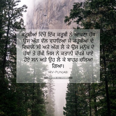 Picture 07 - ਹਿਜ਼ਕੀਏਲ 10:7 PANIRV - ਕਰੂਬੀਆਂ ਵਿੱਚੋਂ - Bible Verse Picture