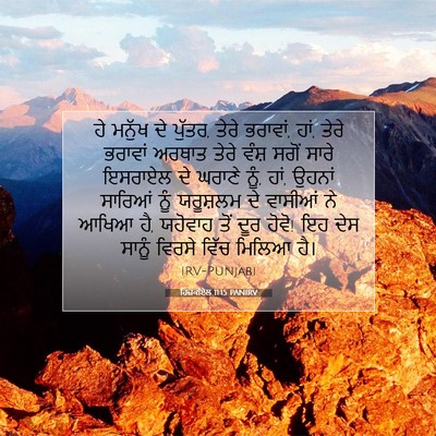 Picture 07 - ਹਿਜ਼ਕੀਏਲ 11:15 PANIRV - ਹੇ ਮਨੁੱਖ ਦੇ ਪੁੱਤਰ, - Bible Verse Picture