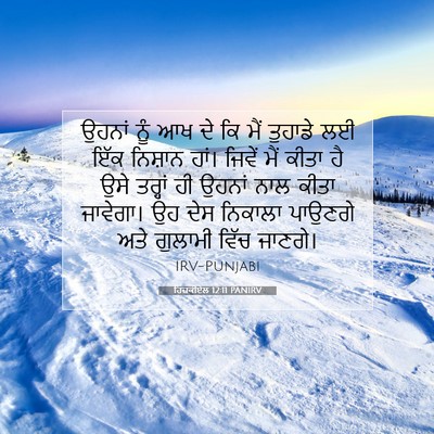 Picture 07 - ਹਿਜ਼ਕੀਏਲ 12:11 PANIRV - ਉਹਨਾਂ ਨੂੰ ਆਖ ਦੇ ਕਿ - Bible Verse Picture