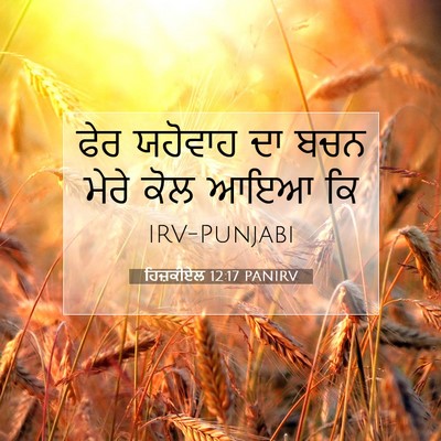 Picture 07 - ਹਿਜ਼ਕੀਏਲ 12:17 PANIRV - ਫੇਰ ਯਹੋਵਾਹ ਦਾ ਬਚਨ - Bible Verse Picture
