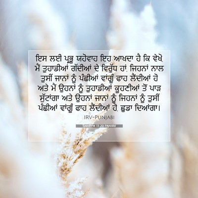 Picture 07 - ਹਿਜ਼ਕੀਏਲ 13:20 PANIRV - ਇਸ ਲਈ ਪ੍ਰਭੂ ਯਹੋਵਾਹ - Bible Verse Picture