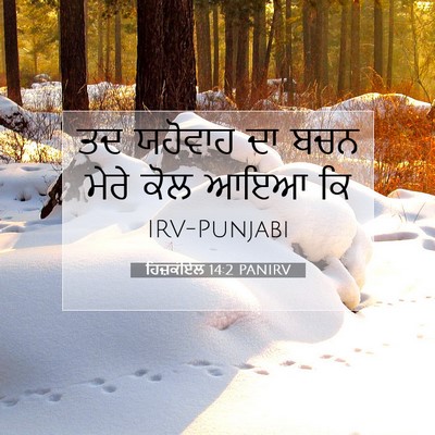 Picture 07 - ਹਿਜ਼ਕੀਏਲ 14:2 PANIRV - ਤਦ ਯਹੋਵਾਹ ਦਾ ਬਚਨ - Bible Verse Picture