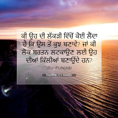 Picture 07 - ਹਿਜ਼ਕੀਏਲ 15:3 PANIRV - ਕੀ ਉਹ ਦੀ ਲੱਕੜੀ - Bible Verse Picture