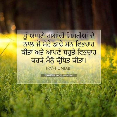 Picture 07 - ਹਿਜ਼ਕੀਏਲ 16:26 PANIRV - ਤੂੰ ਆਪਣੇ ਗੁਆਂਢੀ - Bible Verse Picture