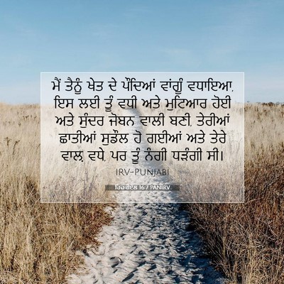 Picture 07 - ਹਿਜ਼ਕੀਏਲ 16:7 PANIRV - ਮੈਂ ਤੈਨੂੰ ਖੇਤ ਦੇ - Bible Verse Picture