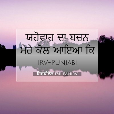 Picture 07 - ਹਿਜ਼ਕੀਏਲ 17:11 PANIRV - ਯਹੋਵਾਹ ਦਾ ਬਚਨ ਮੇਰੇ - Bible Verse Picture