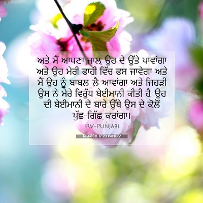 Picture 07 - ਹਿਜ਼ਕੀਏਲ 17:20 PANIRV - ਅਤੇ ਮੈਂ ਆਪਣਾ ਜਾਲ਼ - Bible Verse Picture