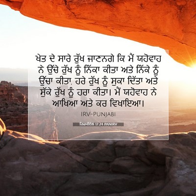 Picture 07 - ਹਿਜ਼ਕੀਏਲ 17:24 PANIRV - ਖੇਤ ਦੇ ਸਾਰੇ ਰੁੱਖ - Bible Verse Picture