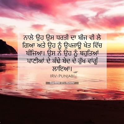 Picture 07 - ਹਿਜ਼ਕੀਏਲ 17:5 PANIRV - ਨਾਲੇ ਉਹ ਉਸ ਧਰਤੀ ਦਾ - Bible Verse Picture