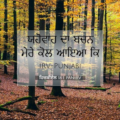 Picture 07 - ਹਿਜ਼ਕੀਏਲ 18:1 PANIRV - ਯਹੋਵਾਹ ਦਾ ਬਚਨ ਮੇਰੇ - Bible Verse Picture