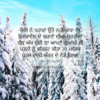Picture 07 - ਹਿਜ਼ਕੀਏਲ 18:6 PANIRV - ਜਿਸ ਨੇ ਪਹਾੜਾਂ ਉੱਤੇ - Bible Verse Picture