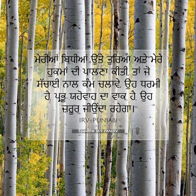 Picture 07 - ਹਿਜ਼ਕੀਏਲ 18:9 PANIRV - ਮੇਰੀਆਂ ਬਿਧੀਆਂ - Bible Verse Picture