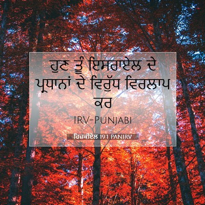 Picture 07 - ਹਿਜ਼ਕੀਏਲ 19:1 PANIRV - ਹੁਣ ਤੂੰ ਇਸਰਾਏਲ ਦੇ - Bible Verse Picture