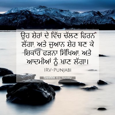 Picture 07 - ਹਿਜ਼ਕੀਏਲ 19:6 PANIRV - ਉਹ ਸ਼ੇਰਾਂ ਦੇ ਵਿੱਚ - Bible Verse Picture