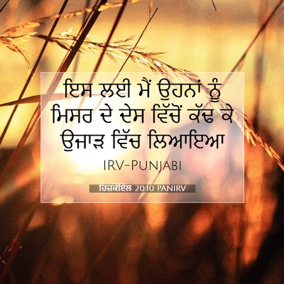 Picture 07 - ਹਿਜ਼ਕੀਏਲ 20:10 PANIRV - ਇਸ ਲਈ ਮੈਂ ਉਹਨਾਂ ਨੂੰ - Bible Verse Picture
