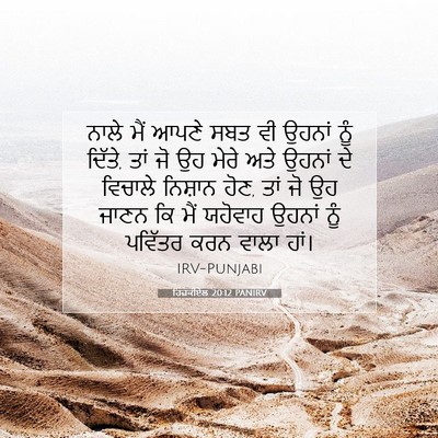 Picture 07 - ਹਿਜ਼ਕੀਏਲ 20:12 PANIRV - ਨਾਲੇ ਮੈਂ ਆਪਣੇ ਸਬਤ - Bible Verse Picture