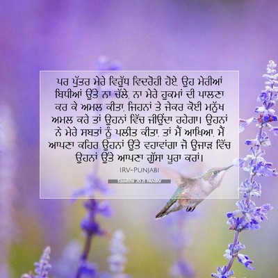 Picture 07 - ਹਿਜ਼ਕੀਏਲ 20:21 PANIRV - ਪਰ ਪੁੱਤਰ ਮੇਰੇ - Bible Verse Picture