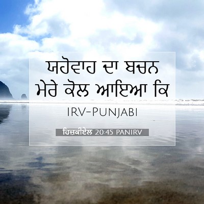 Picture 07 - ਹਿਜ਼ਕੀਏਲ 20:45 PANIRV - ਯਹੋਵਾਹ ਦਾ ਬਚਨ ਮੇਰੇ - Bible Verse Picture
