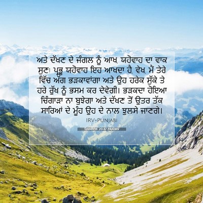 Picture 07 - ਹਿਜ਼ਕੀਏਲ 20:47 PANIRV - ਅਤੇ ਦੱਖਣ ਦੇ ਜੰਗਲ - Bible Verse Picture