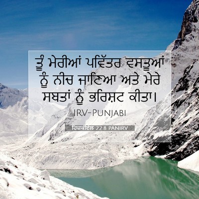 Picture 07 - ਹਿਜ਼ਕੀਏਲ 22:8 PANIRV - ਤੂੰ ਮੇਰੀਆਂ ਪਵਿੱਤਰ - Bible Verse Picture