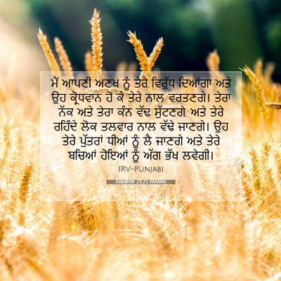 Picture 07 - ਹਿਜ਼ਕੀਏਲ 23:25 PANIRV - ਮੈਂ ਆਪਣੀ ਅਣਖ ਨੂੰ - Bible Verse Picture