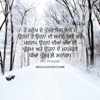 Picture 07 - ਹਿਜ਼ਕੀਏਲ 24:25 PANIRV - ਹੇ ਮਨੁੱਖ ਦੇ ਪੁੱਤਰ, - Bible Verse Picture