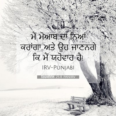 Picture 07 - ਹਿਜ਼ਕੀਏਲ 25:11 PANIRV - ਮੈਂ ਮੋਆਬ ਦਾ ਨਿਆਂ - Bible Verse Picture
