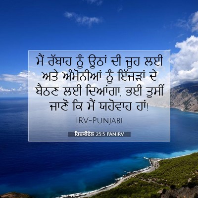 Picture 07 - ਹਿਜ਼ਕੀਏਲ 25:5 PANIRV - ਮੈਂ ਰੱਬਾਹ ਨੂੰ ਊਠਾਂ - Bible Verse Picture