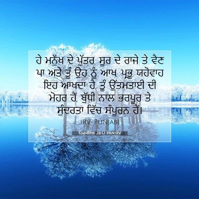 Picture 07 - ਹਿਜ਼ਕੀਏਲ 28:12 PANIRV - ਹੇ ਮਨੁੱਖ ਦੇ ਪੁੱਤਰ, - Bible Verse Picture