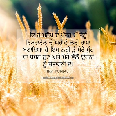 Picture 07 - ਹਿਜ਼ਕੀਏਲ 3:17 PANIRV - ਕਿ ਹੇ ਮਨੁੱਖ ਦੇ - Bible Verse Picture