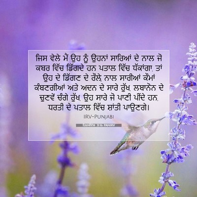 Picture 07 - ਹਿਜ਼ਕੀਏਲ 31:16 PANIRV - ਜਿਸ ਵੇਲੇ ਮੈਂ ਉਹ ਨੂੰ - Bible Verse Picture