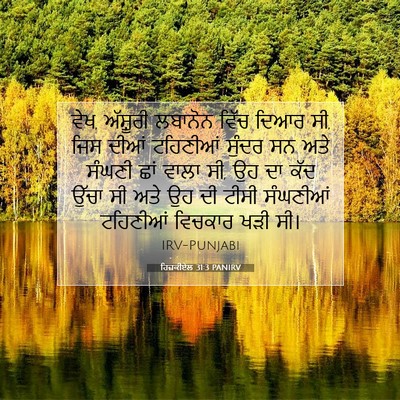 Picture 07 - ਹਿਜ਼ਕੀਏਲ 31:3 PANIRV - ਵੇਖ, ਅੱਸ਼ੂਰੀ - Bible Verse Picture