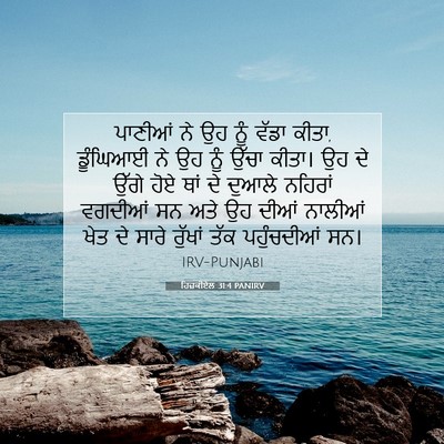 Picture 07 - ਹਿਜ਼ਕੀਏਲ 31:4 PANIRV - ਪਾਣੀਆਂ ਨੇ ਉਹ ਨੂੰ - Bible Verse Picture