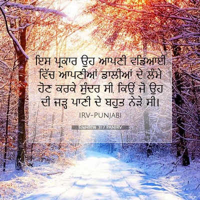 Picture 07 - ਹਿਜ਼ਕੀਏਲ 31:7 PANIRV - ਇਸ ਪ੍ਰਕਾਰ ਉਹ ਆਪਣੀ - Bible Verse Picture
