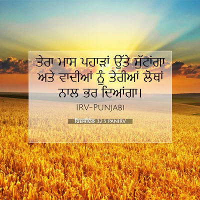Picture 07 - ਹਿਜ਼ਕੀਏਲ 32:5 PANIRV - ਤੇਰਾ ਮਾਸ ਪਹਾੜਾਂ - Bible Verse Picture