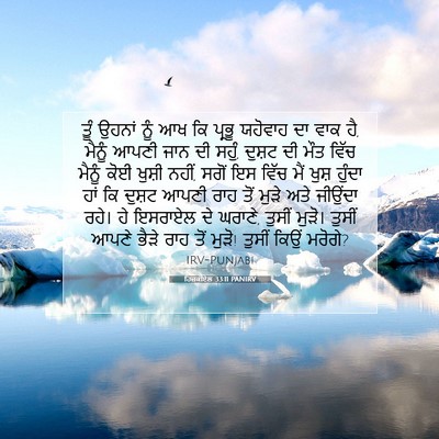 Picture 07 - ਹਿਜ਼ਕੀਏਲ 33:11 PANIRV - ਤੂੰ ਉਹਨਾਂ ਨੂੰ ਆਖ ਕਿ - Bible Verse Picture