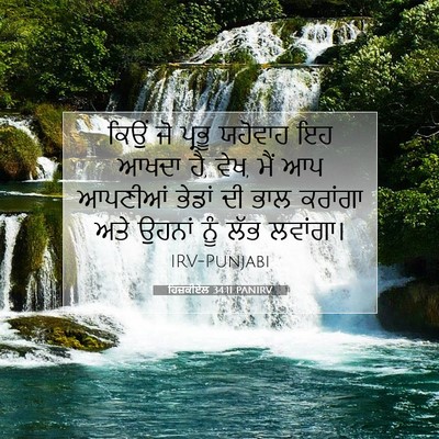 Picture 07 - ਹਿਜ਼ਕੀਏਲ 34:11 PANIRV - ਕਿਉਂ ਜੋ ਪ੍ਰਭੂ - Bible Verse Picture