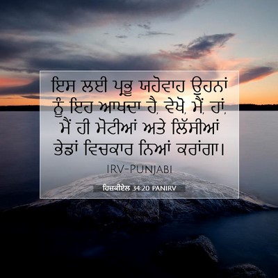Picture 07 - ਹਿਜ਼ਕੀਏਲ 34:20 PANIRV - ਇਸ ਲਈ ਪ੍ਰਭੂ ਯਹੋਵਾਹ - Bible Verse Picture